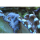 Tridacna derasa - Riesenmuschel 9-11cm