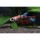 Betta splendens "Koi Galaxy" - Kampffisch (Weibchen)(NZ)